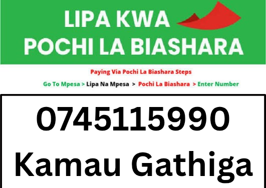 mpesa-pochi